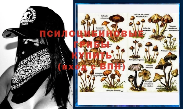 MDMA Premium VHQ Волоколамск