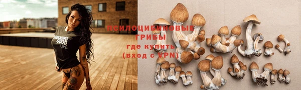 бошки Володарск