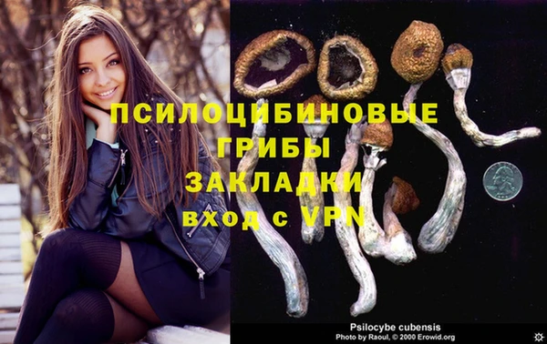 бошки Володарск