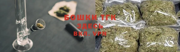 ГАЛЛЮЦИНОГЕННЫЕ ГРИБЫ Вязники
