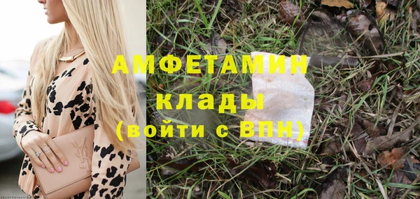 ГАЛЛЮЦИНОГЕННЫЕ ГРИБЫ Вязники