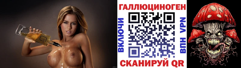 мега tor  где можно купить   Зеленоградск  Псилоцибиновые грибы мицелий 